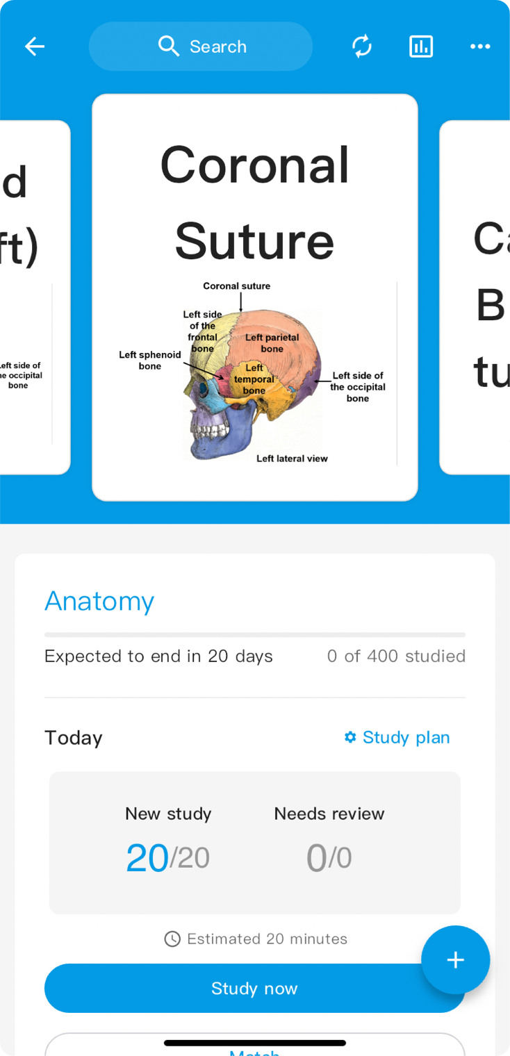 Cardary app showing an Anatomy deck with study progress, new study count, and a study now button.